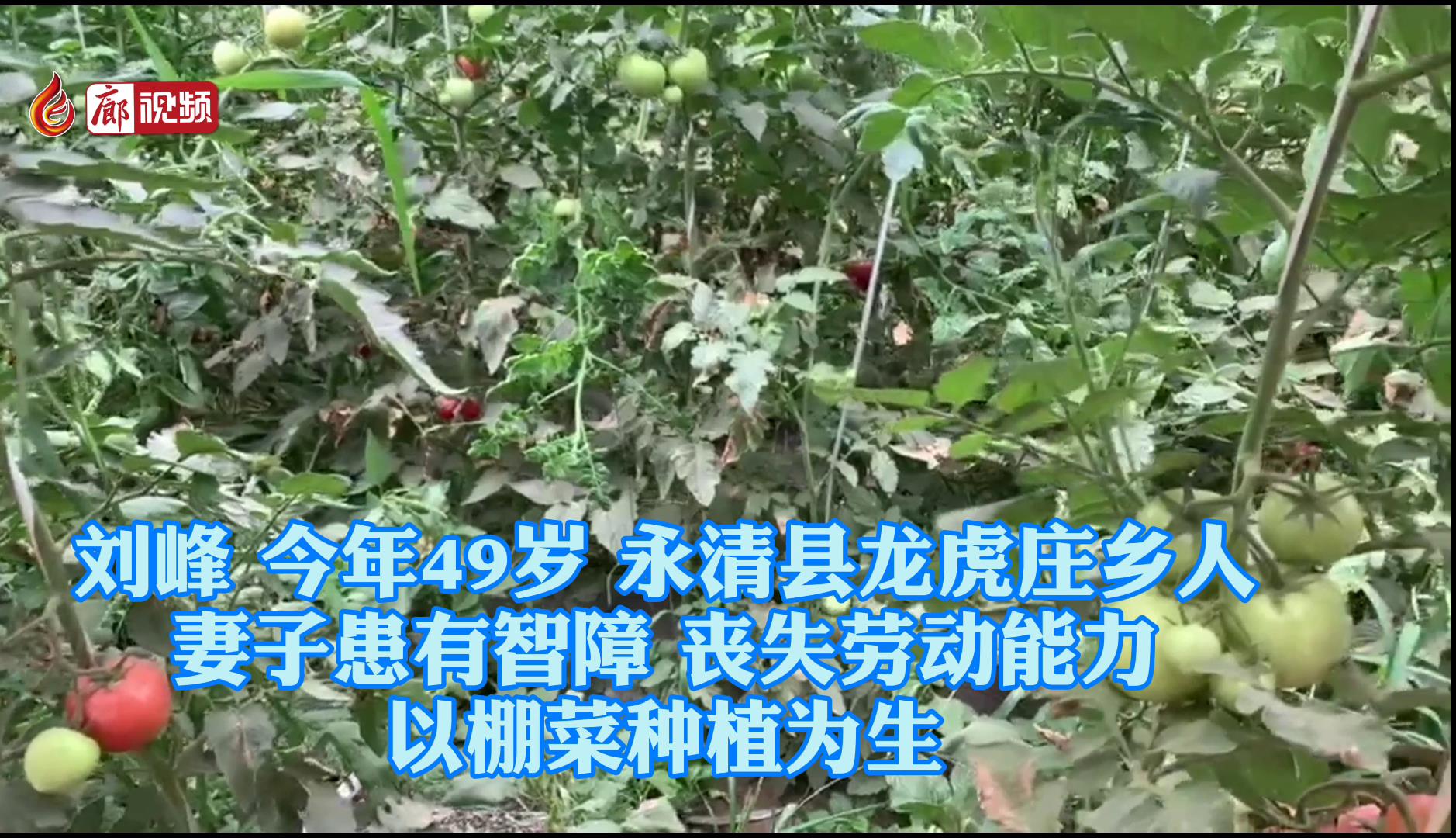 廊視頻 |?永清扶貧：幸福是奮斗出來的