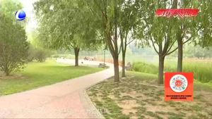 婚姻之中的AA制 您怎么看？