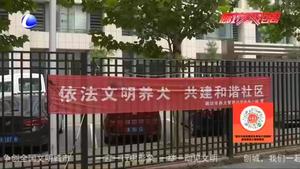 市民說創(chuàng)城：文明養(yǎng)犬 從我做起 從點滴做起