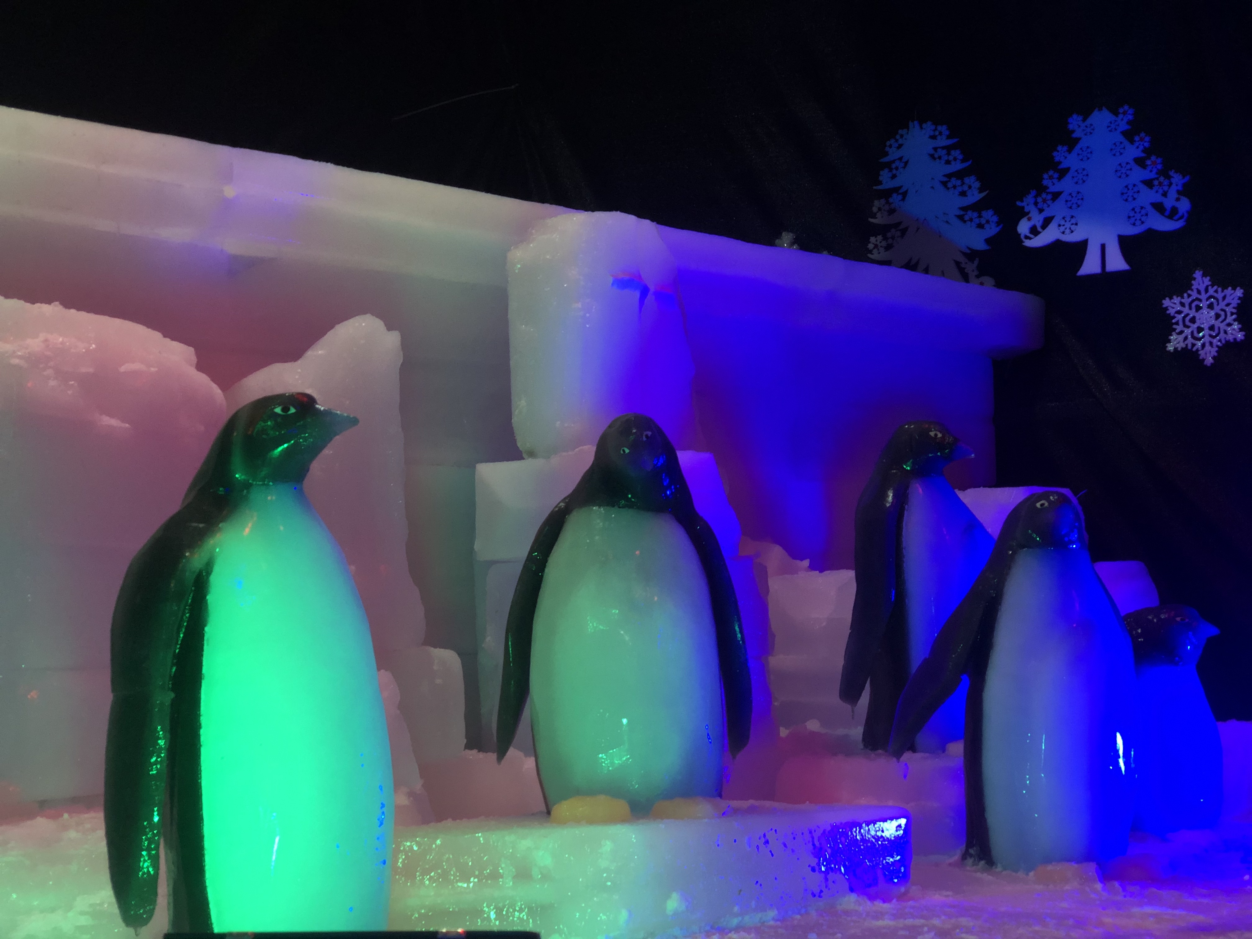 廊視頻 | 金科·集美書(shū)香網(wǎng)紅公園示范區(qū)盛大啟幕