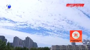 昨夜今晨我市出現(xiàn)強降雨天氣過程 最大雨量出現(xiàn)在永清管家務鄉(xiāng)