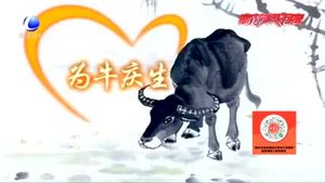 我們的節(jié)日·七夕：獨(dú)具魅力的中國情人節(jié)