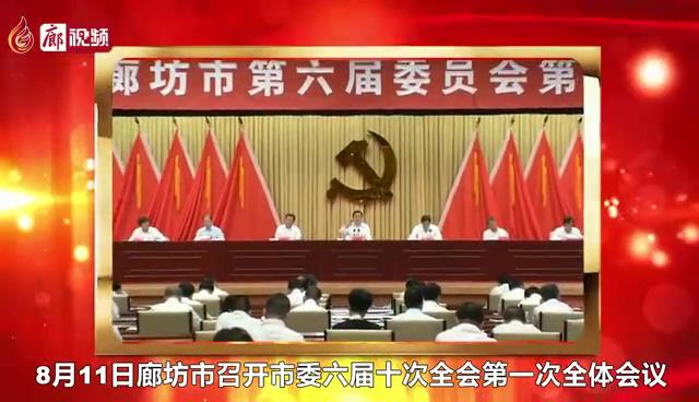 廊視頻 |?推動(dòng)北三縣加快融入北京城市副中心，廊坊這么干