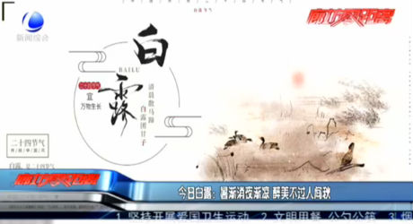 今日白露：暑漸消夜?jié)u涼 醉美不過(guò)人間秋