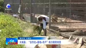 大城縣：“合作社+基地 +農(nóng)戶”助力脫貧攻堅(jiān)