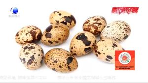 食在好源頭：鵪鶉蛋的食用價(jià)值