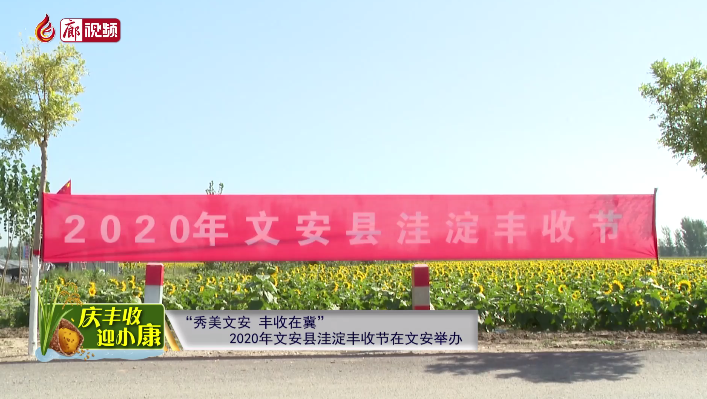  廊視頻 | “慶豐收迎小康”——“秀美文安，豐收在冀”2020年文安縣洼淀豐