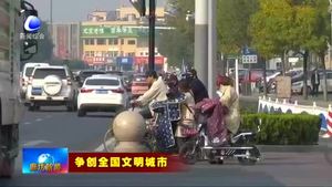 我市交通秩序井然 文明交通成為新風尚