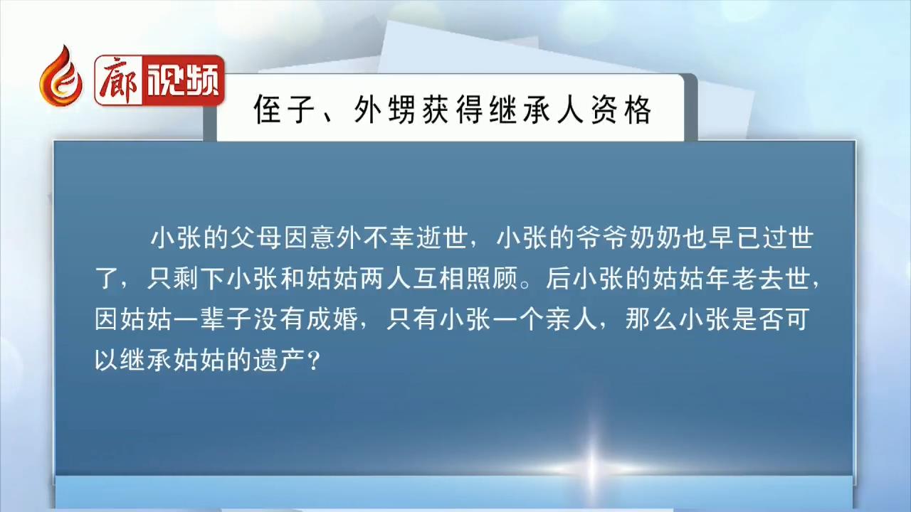  廊視頻 | 侄子、外甥獲得繼承人資格