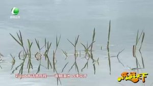 樂(lè)游天下 20201113