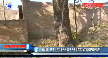 零距離·熱線：老宅拆遷在即 主人希望院內(nèi)百余年古樹(shù)得到保護(hù)