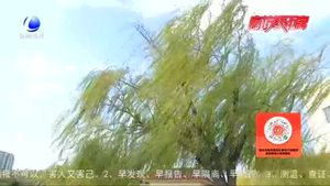 雨后的廊坊 真美！