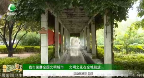 我市榮膺全國(guó)文明城市 文明之花在全城綻放