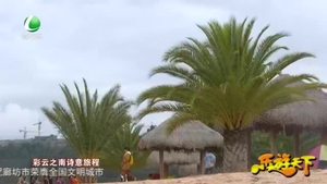 樂(lè)游天下 20201127