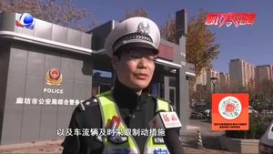 零距離·交通：知危險會避險 黃燈亮起寧停三分不搶一秒