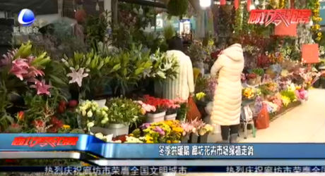冬季供暖期 廊坊花卉市場(chǎng)綠植走俏