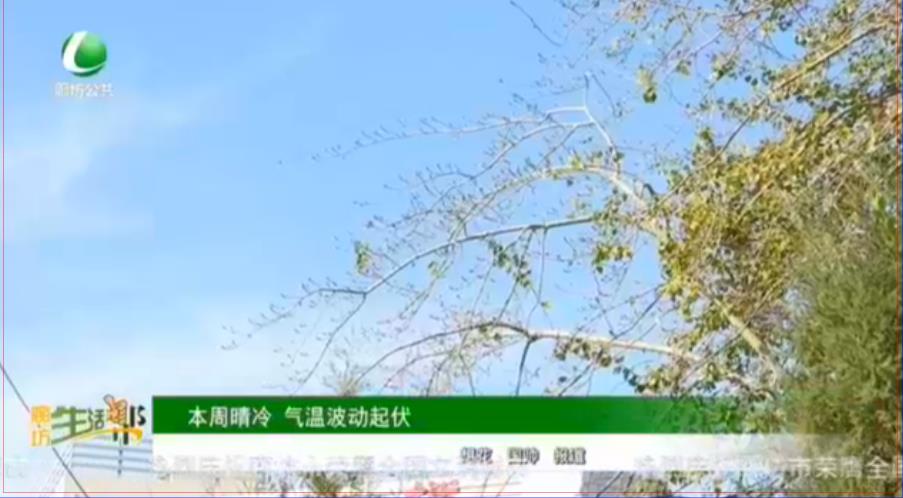 本周晴冷 氣溫波動起伏