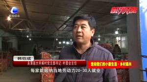 永清縣大辛閣村：大力發(fā)展胡蘿卜產業(yè) 促民致富奔小康