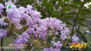 樂(lè)游天下 20210101