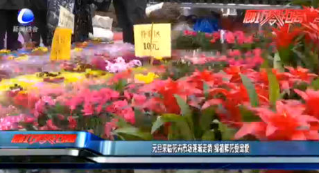 元旦來臨花卉市場逐漸走俏 綠植鮮花受寵愛