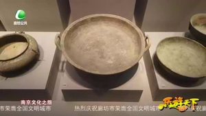 樂(lè)游天下 20210108