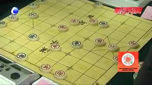 廊坊市迎新春象棋錦標(biāo)賽開賽 各路選手棋盤論英雄