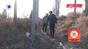 路遇車禍見(jiàn)義勇為 愛(ài)心溫暖無(wú)助傷者