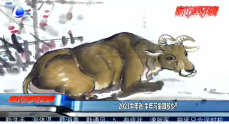2021牛年到 牛年習俗知多少？