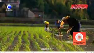 雨水已至 萬物萌動(dòng)