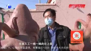 草根農民王子然：創(chuàng)作大型牛雕塑 迎接牛年的到來