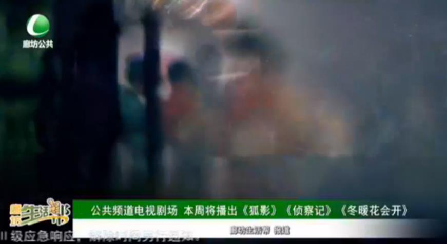 公共頻道電視劇場 本周將播出《狐影》《偵察記》《冬暖花會開》