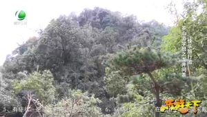 樂(lè)游天下 20210312