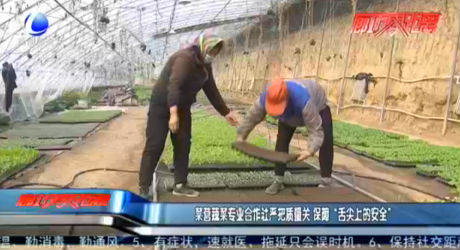 菜營(yíng)蔬菜專業(yè)合作社嚴(yán)把質(zhì)量關(guān) 保障“舌尖上的安全”