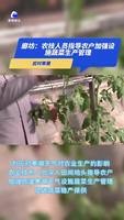應(yīng)對(duì)寒潮：農(nóng)技人員指導(dǎo)農(nóng)戶加強(qiáng)設(shè)施蔬菜生產(chǎn)管理
