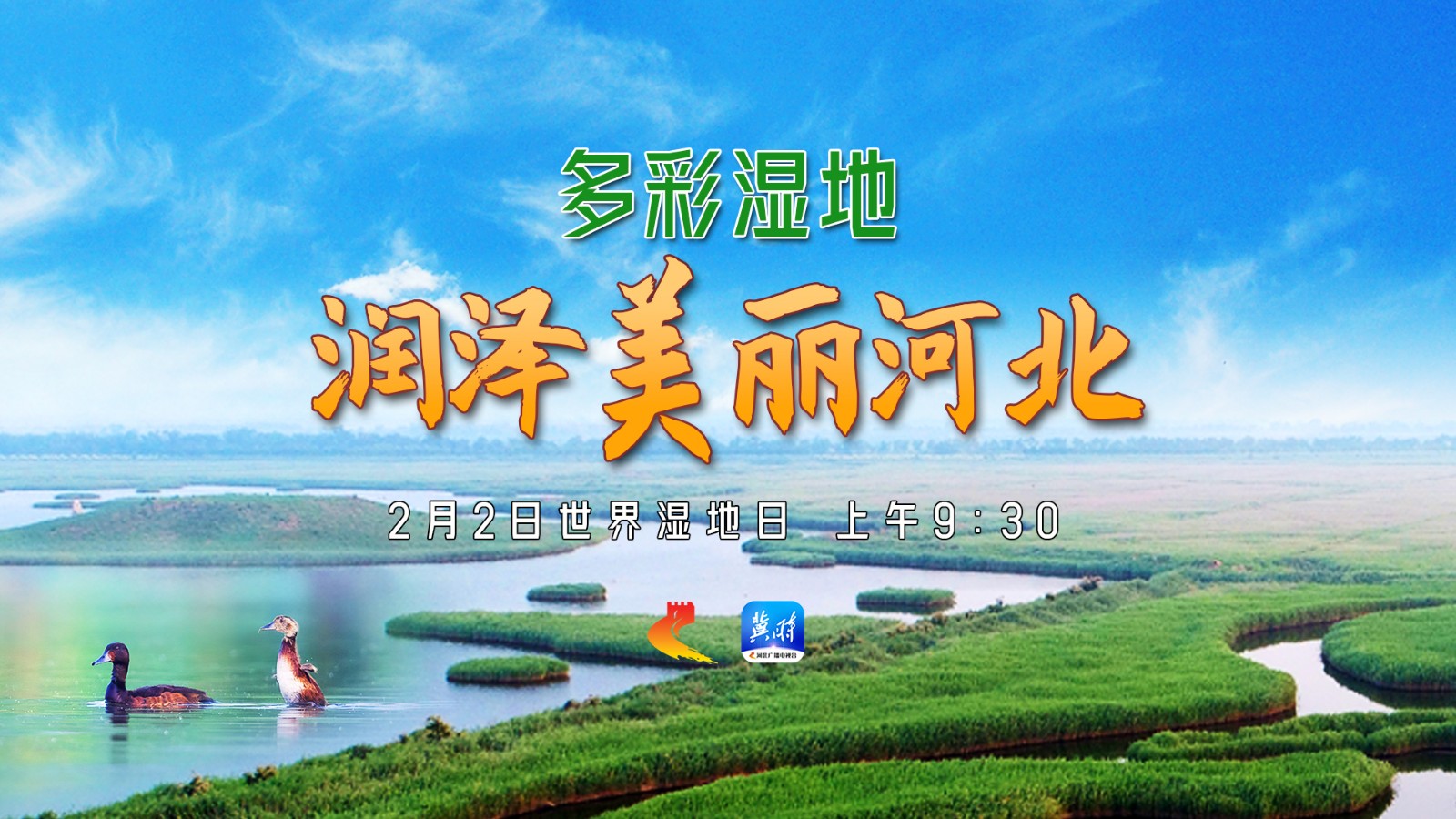 河北融媒·聯(lián)合直播｜多彩濕地·潤(rùn)澤美麗河北