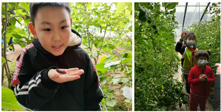 微信截圖_20230524161934