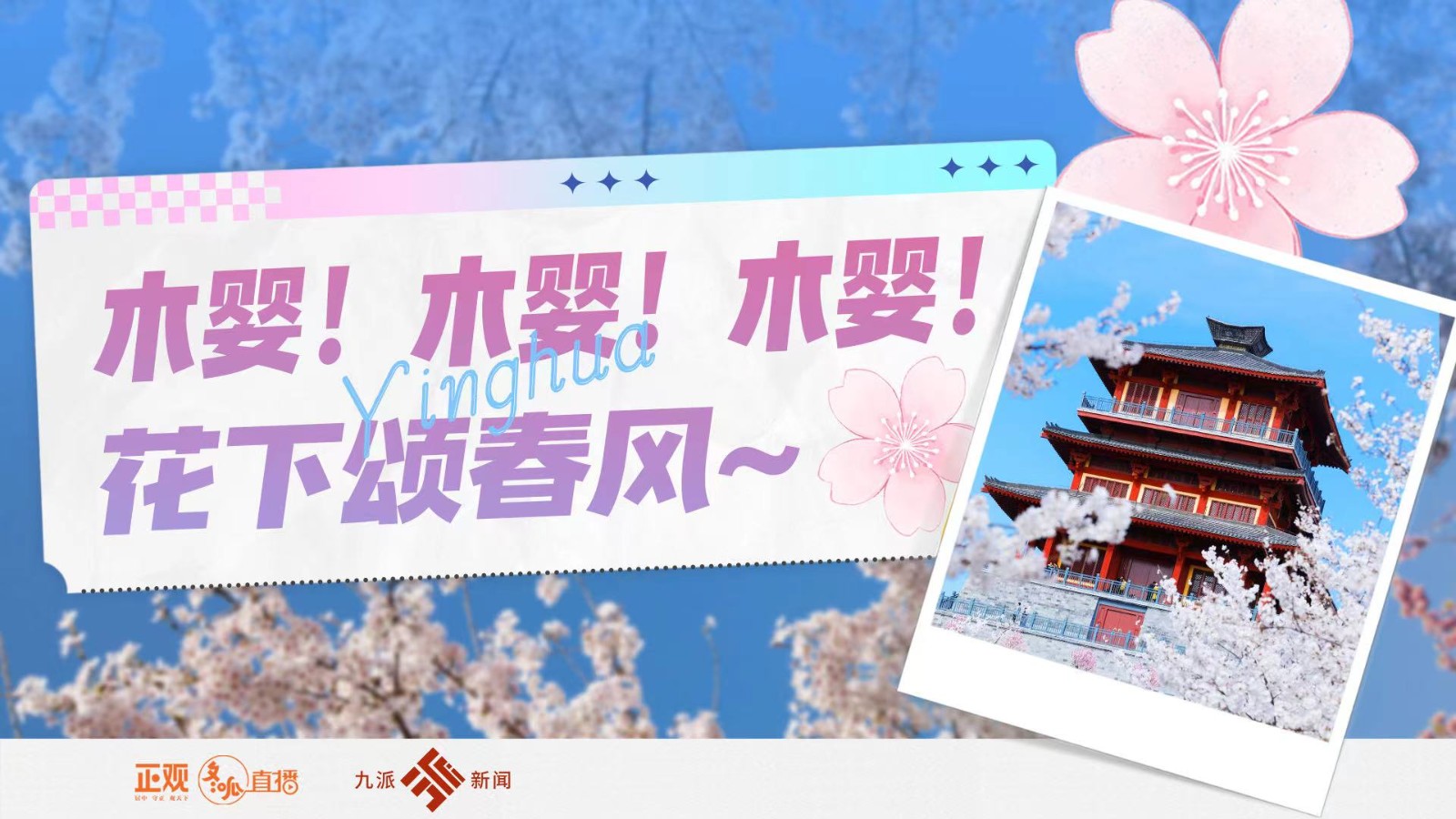 木嬰！木嬰！木嬰！花下頌春風(fēng)~