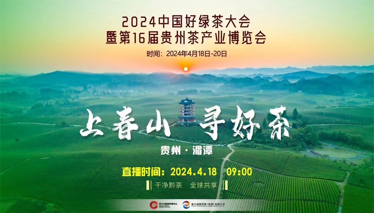 “上春山 采春茶”2024來遵義湄潭，一起采春茶