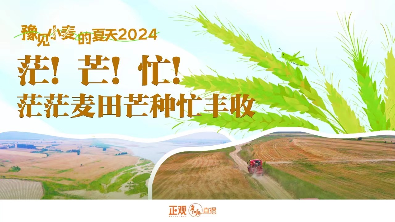 豫見小麥的夏天2024 | 茫！芒！忙！茫茫麥田芒種忙豐收！