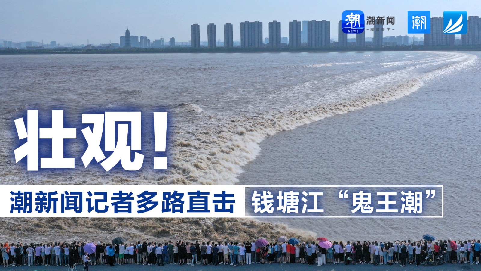 壯觀！潮新聞記者多路直擊錢塘江“鬼王潮”