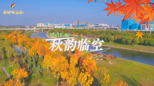 微視頻丨秋韻臨空 如詩(shī)如畫(huà)