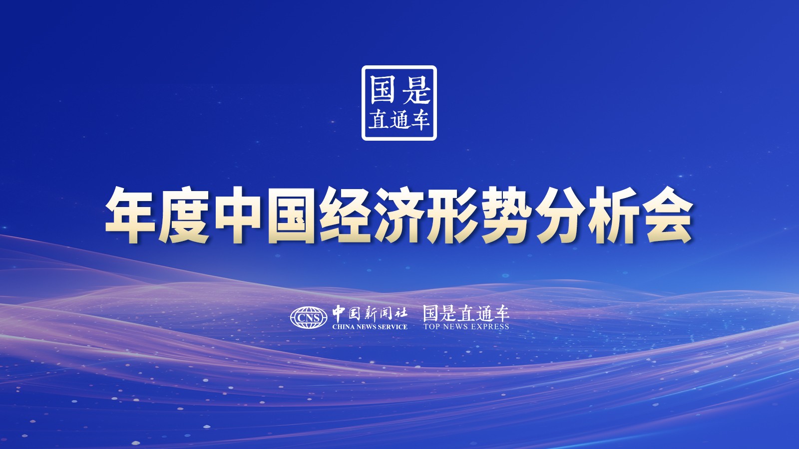 年度中國經(jīng)濟形勢分析會