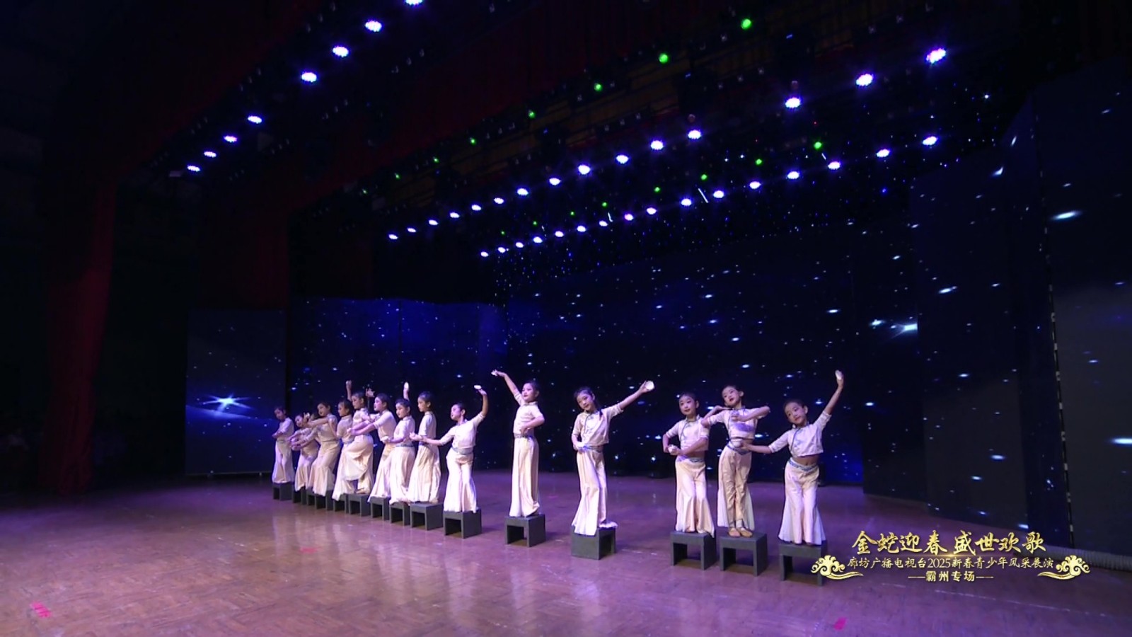 2025新春青少年展演（霸州小小舞者藝術(shù)團(tuán)）