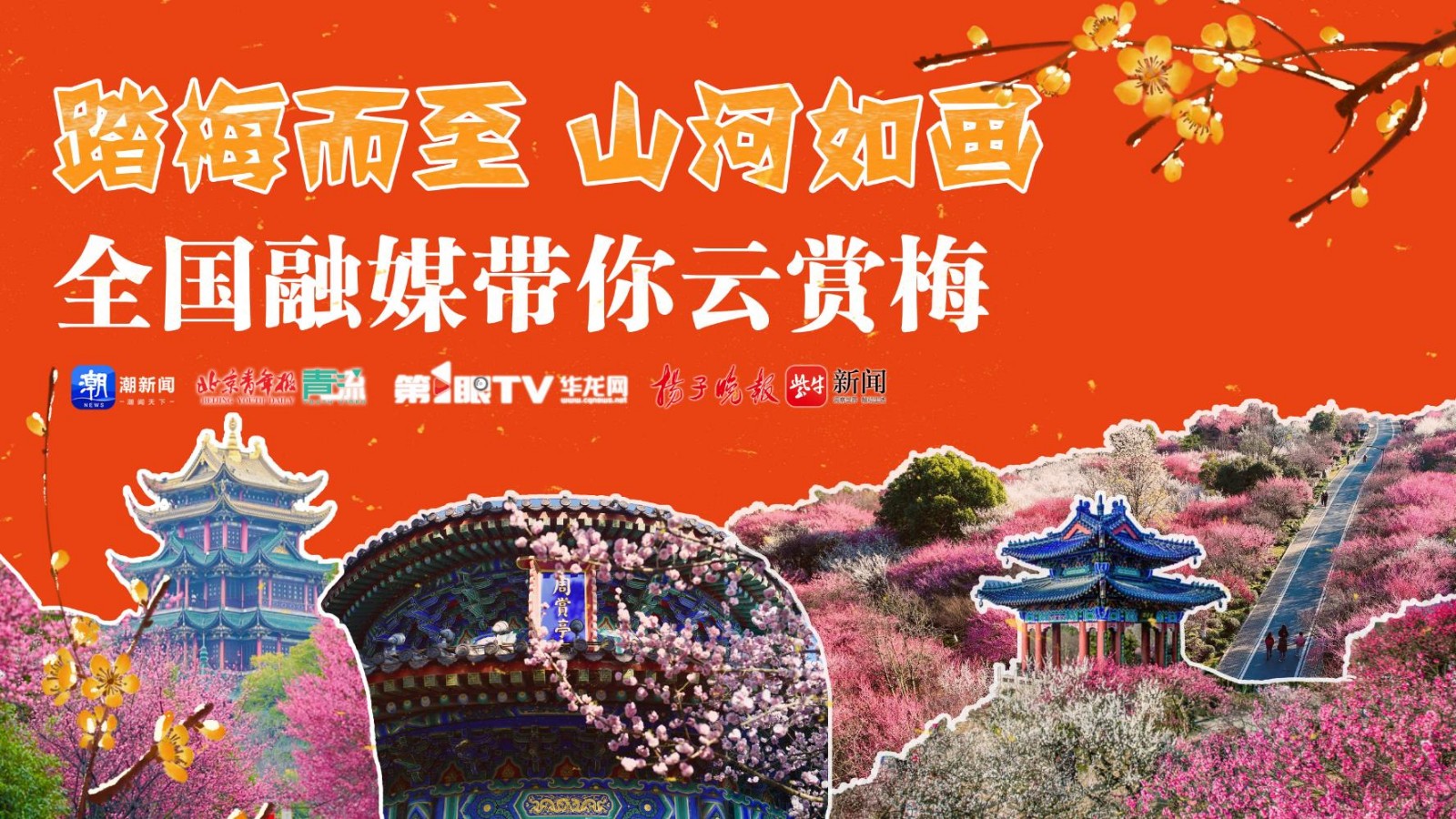 踏梅而至 山河如畫 全國融媒帶你云賞梅