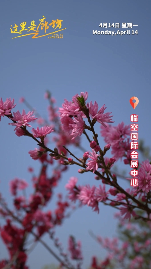 【這里是廊坊】春意盎然迎盛會(huì)