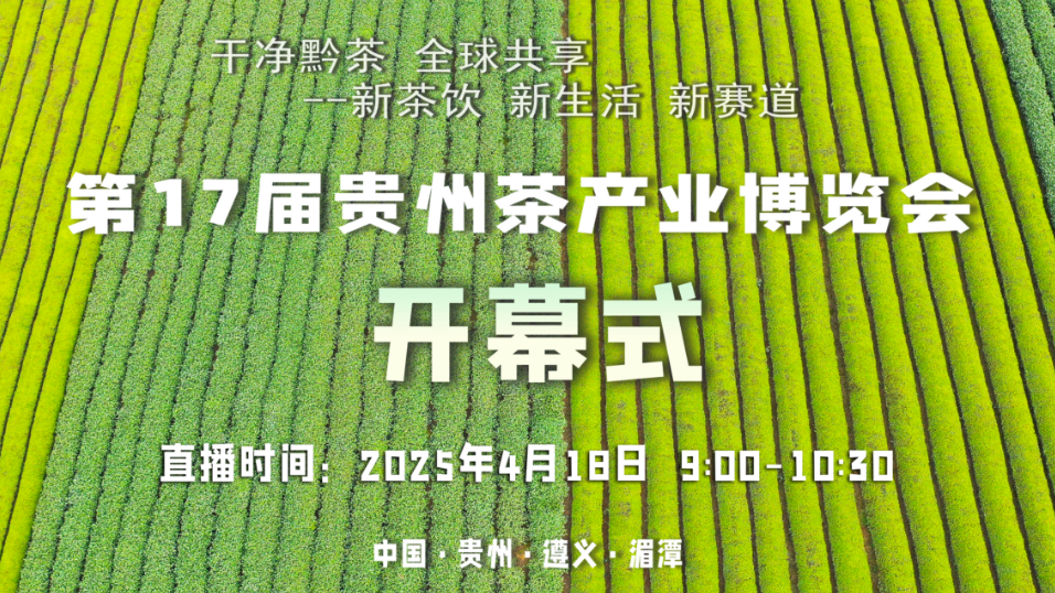 干凈黔茶 全球共享丨第17屆貴州茶產(chǎn)業(yè)博覽會開幕式