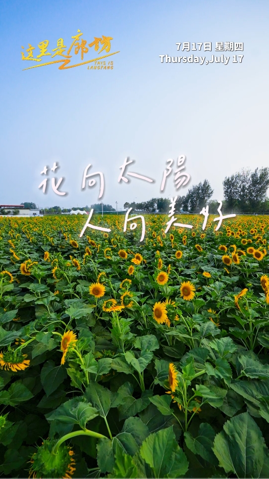 【這里是廊坊】花向太陽(yáng) 人向美好