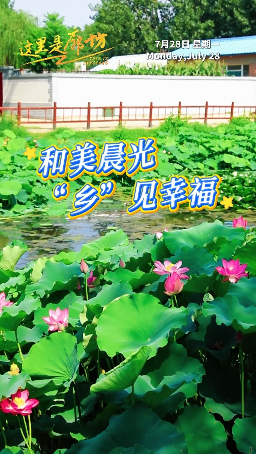 【這里是廊坊】和美晨光 “鄉(xiāng)”見(jiàn)幸福