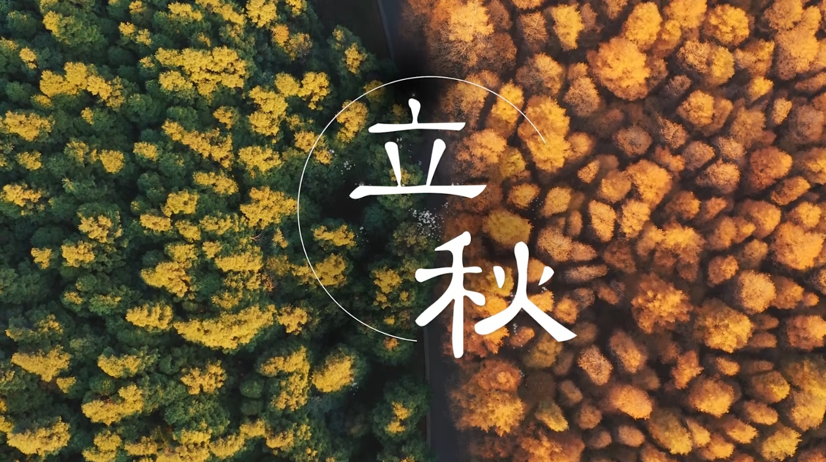 【時光映畫·二十四節(jié)氣】立秋