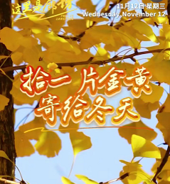 【這里是廊坊】拾一片金黃寄給冬天